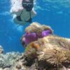 PAUE BEACH - Imagen 3