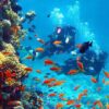 Buceo Profesional - Imagen 2
