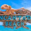 Encantada Beach - Imagen 3